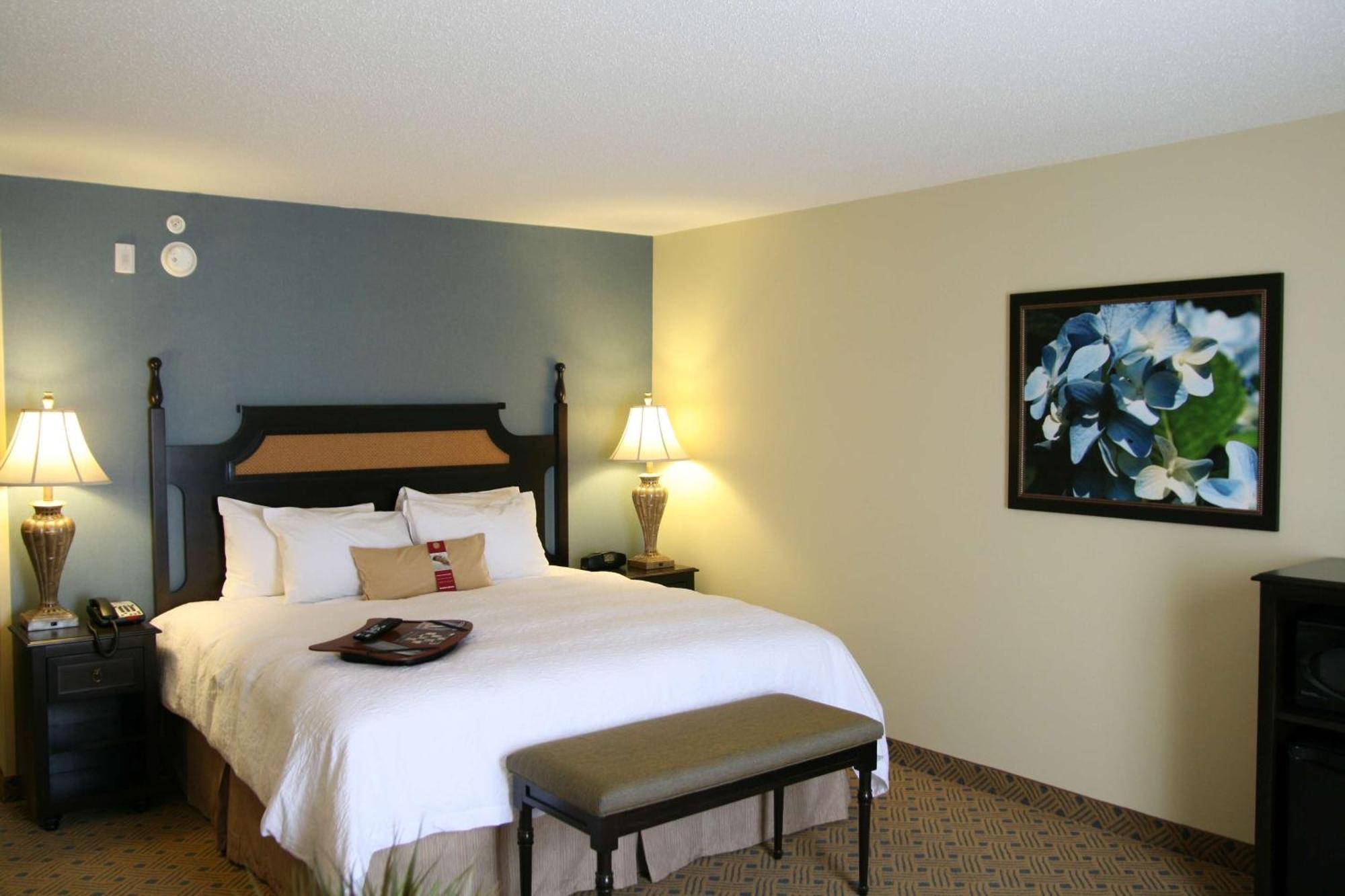 Hampton Inn Murrells Inlet/Myrtle Beach Area Extérieur photo